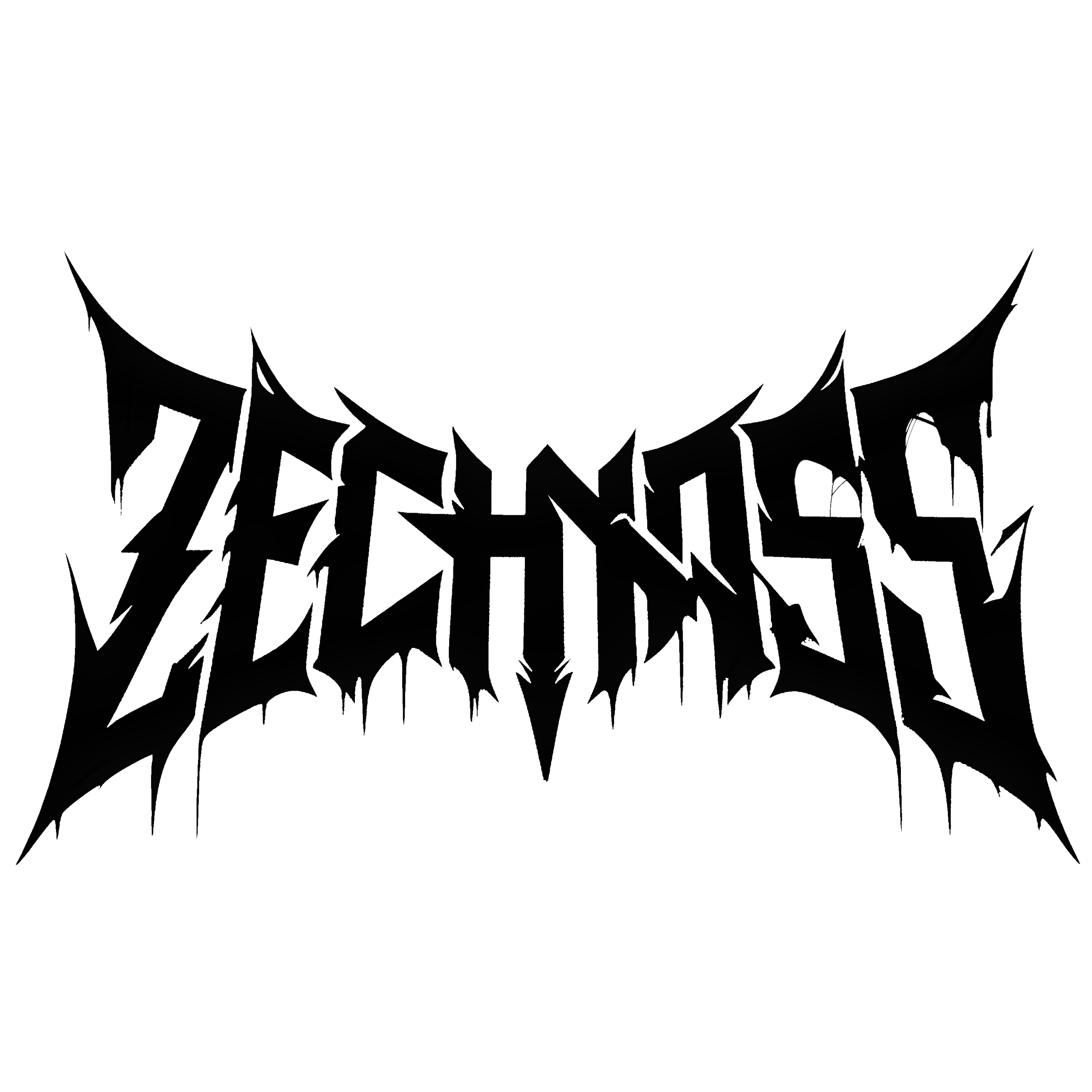 ZECHNASS
